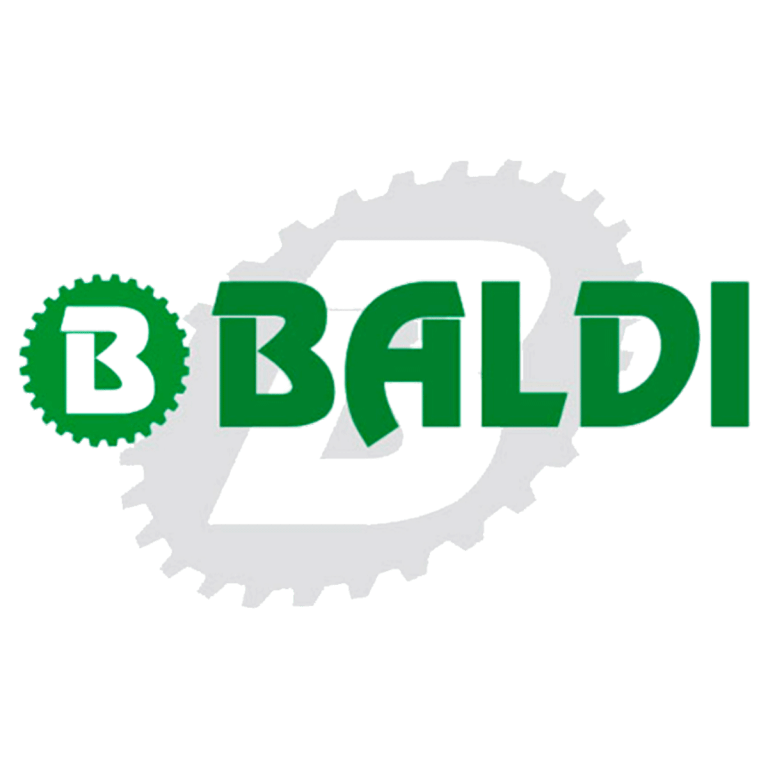 BALDI SRL