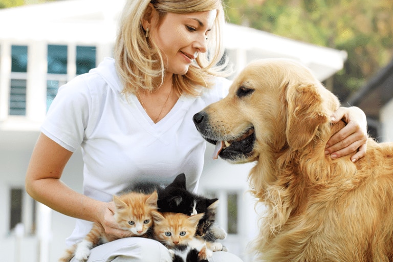 Immagine illustrativa di animali di compagnia