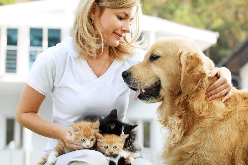Immagine illustrativa di animali di compagnia
